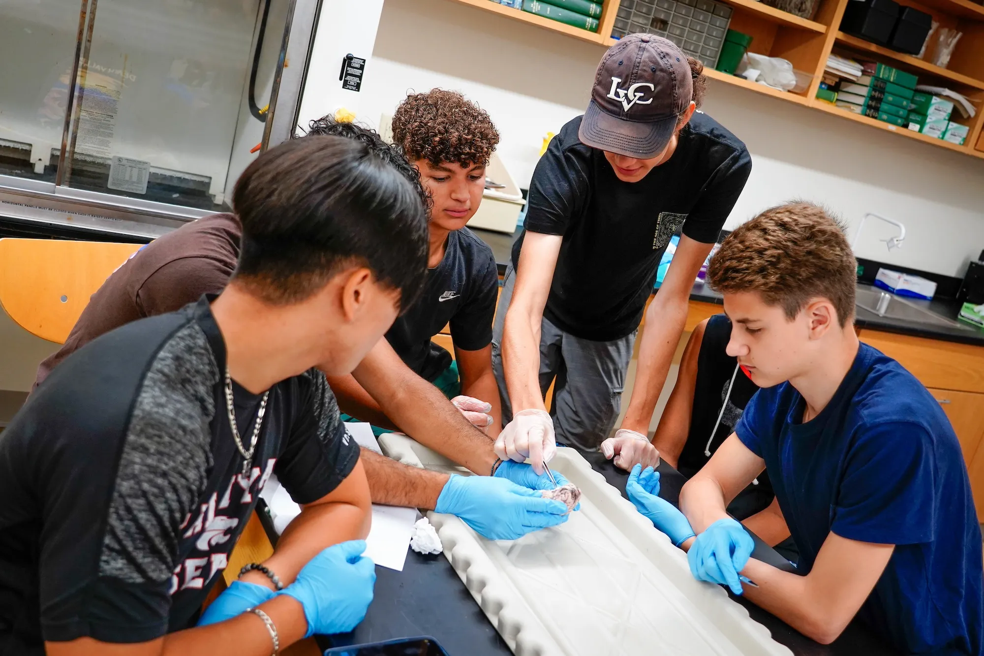 LVC summer Health & Biomedical Sciences Camp students