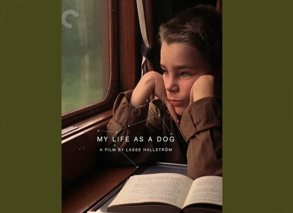 My Life as a Dog (Mitt liv som hund) Swedish 1985