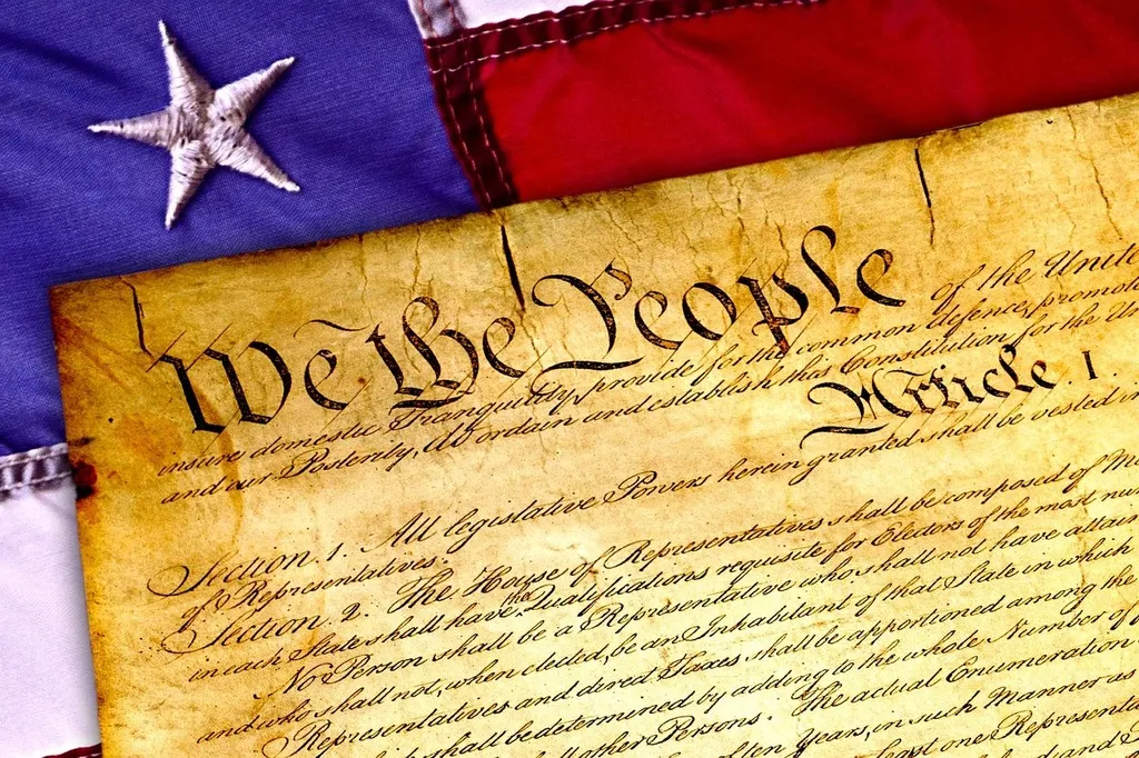 U.S. Constitution graphic